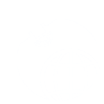 GeoVille - Monitoring Earth